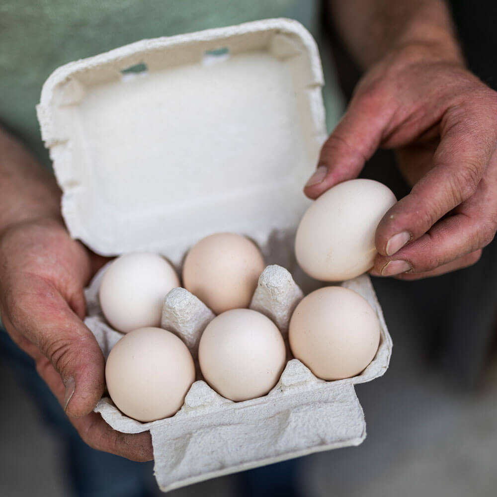 Prodotti agricoli e servizio pane