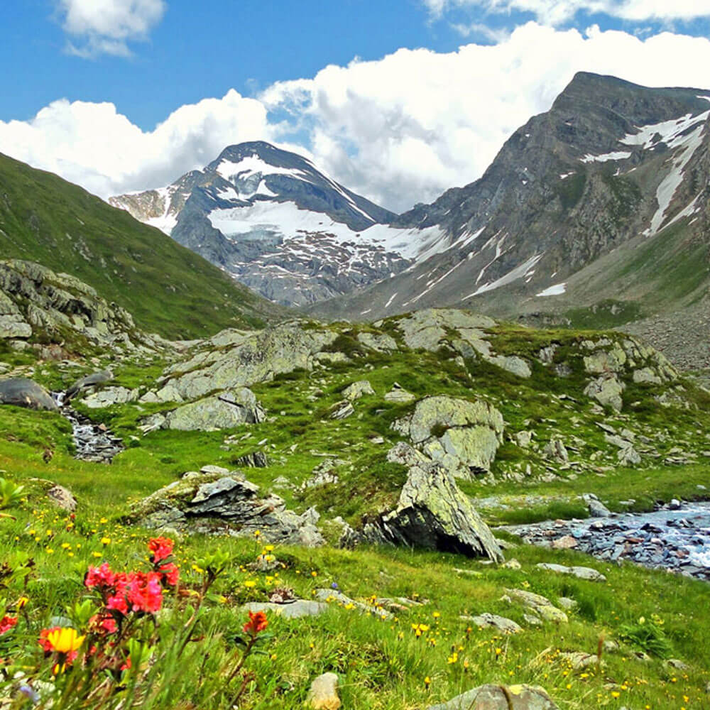 Vorzüge Ihrer Ferien im Ahrntal zu jeder Jahreszeit