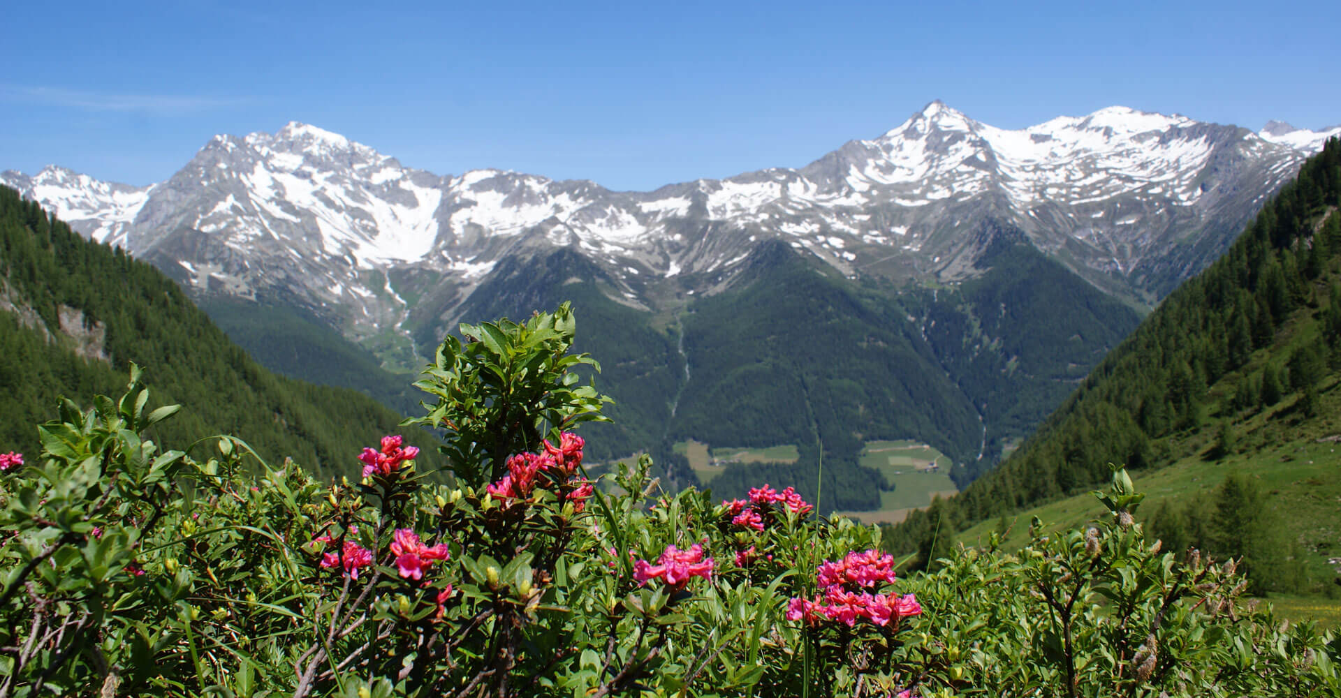 Sommerurlaub in St. Jakob im Ahrntal - Südtirol