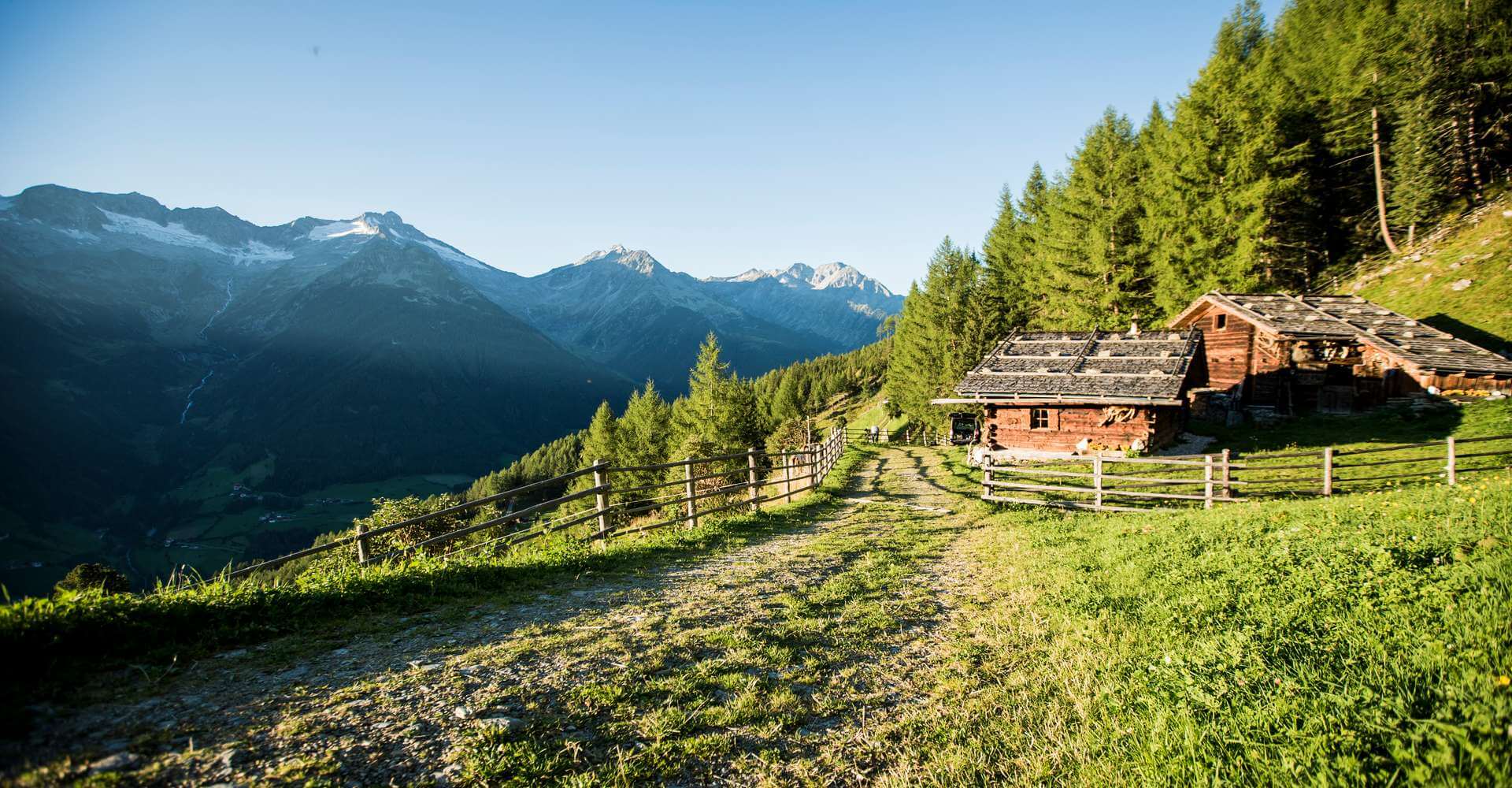 Sommerurlaub in St. Jakob im Ahrntal - Südtirol