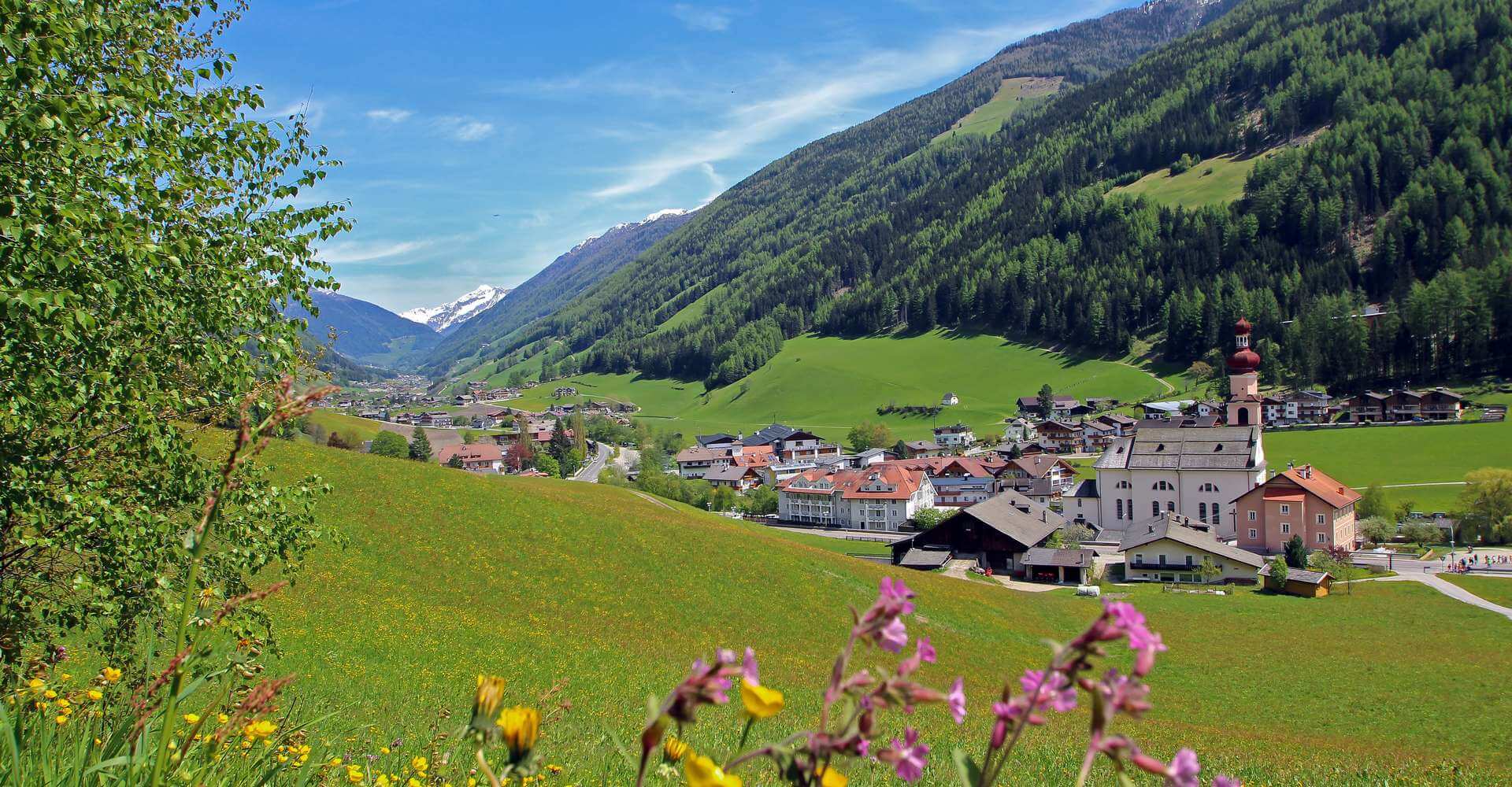 Sommerurlaub in St. Jakob im Ahrntal - Südtirol