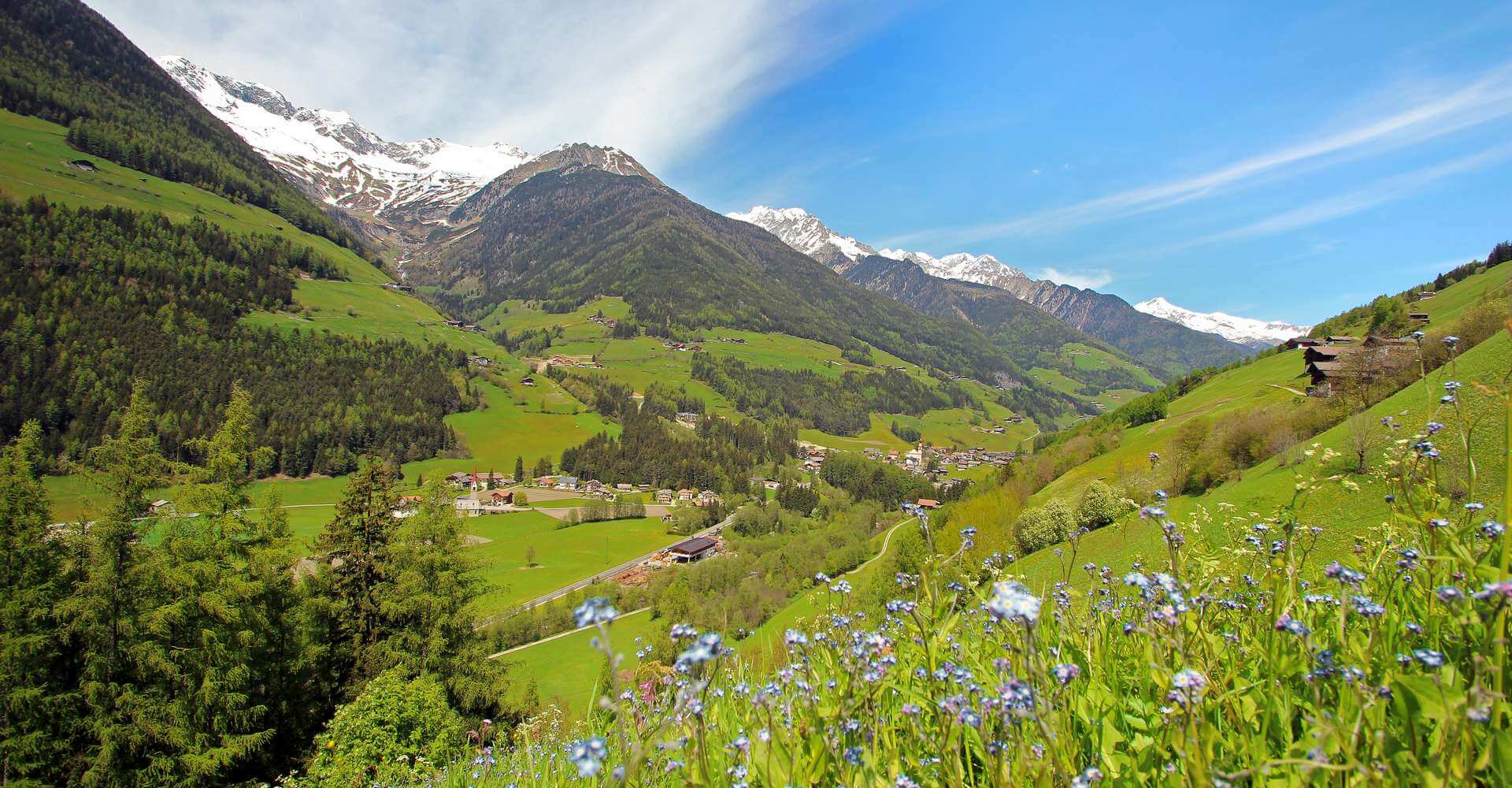 Sommerurlaub in St. Jakob im Ahrntal - Südtirol