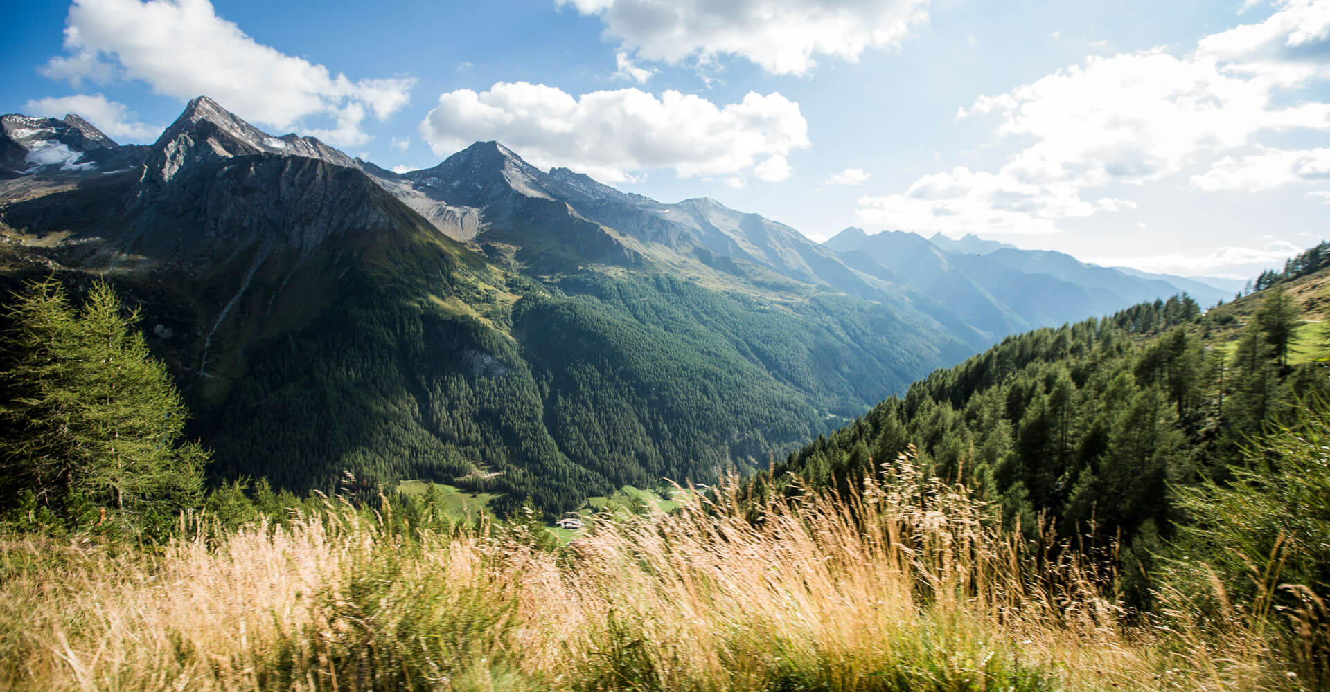 Urlaub am Bauernhof im Ahrntal - Südtirol