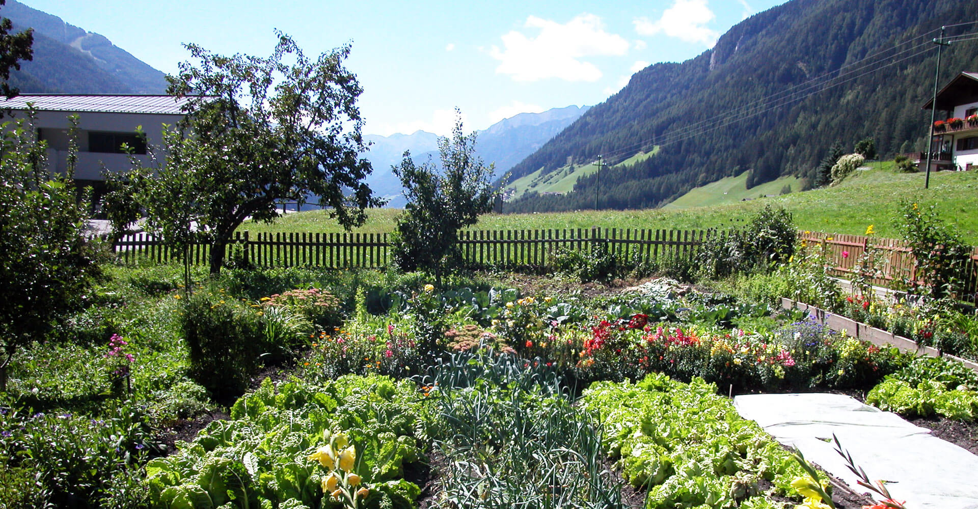 Urlaub auf dem Bauernhof Ahrntal - Südtirol